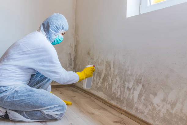 Licensed Mold Remediation service in Lincroft, NJ - 24 Hour Mold Removal