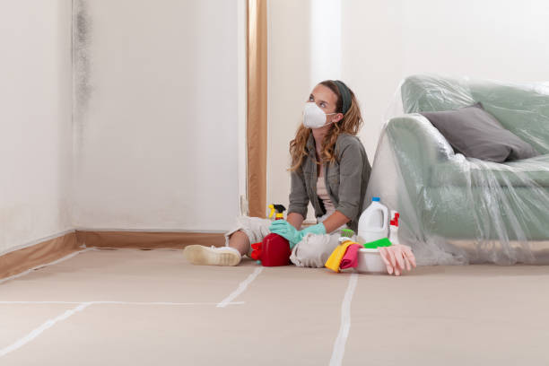 Reliable Mold Remediation contractor in Lincroft, NJ by 24 Hour Mold Removal